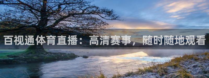百视通体育直播：高清赛事，随时随地观看