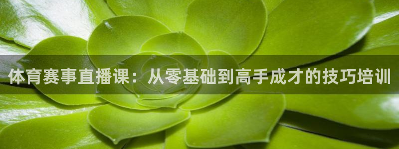 体育赛事直播课：从零基础到高手成才的技巧培训